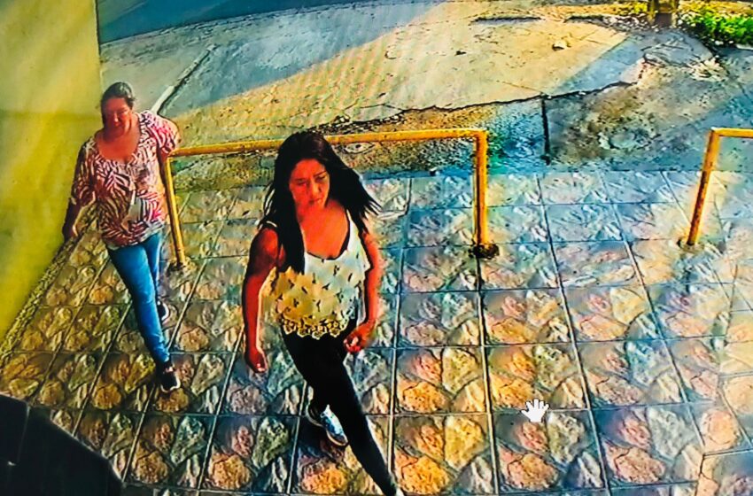  Câmeras de segurança flagram mulheres furtando produtos de farmácia em FRG