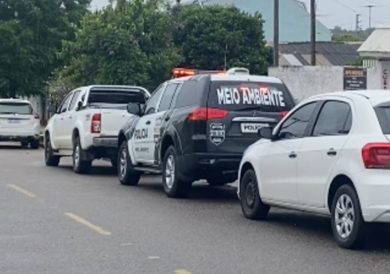  Suspeita de agredir cadela em FRG, é encaminhada à delegacia de Meio Ambiente