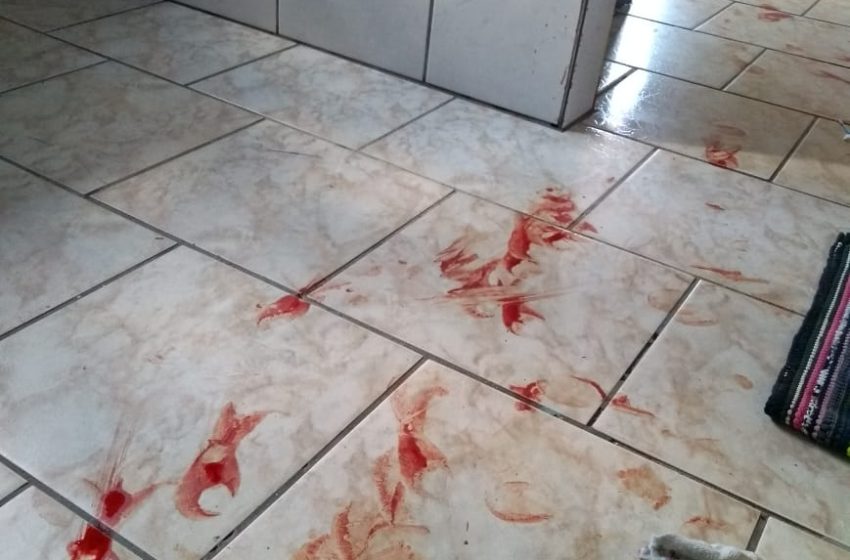  Briga de casal termina com os dois feridos e homem encaminhado à delegacia em FRG