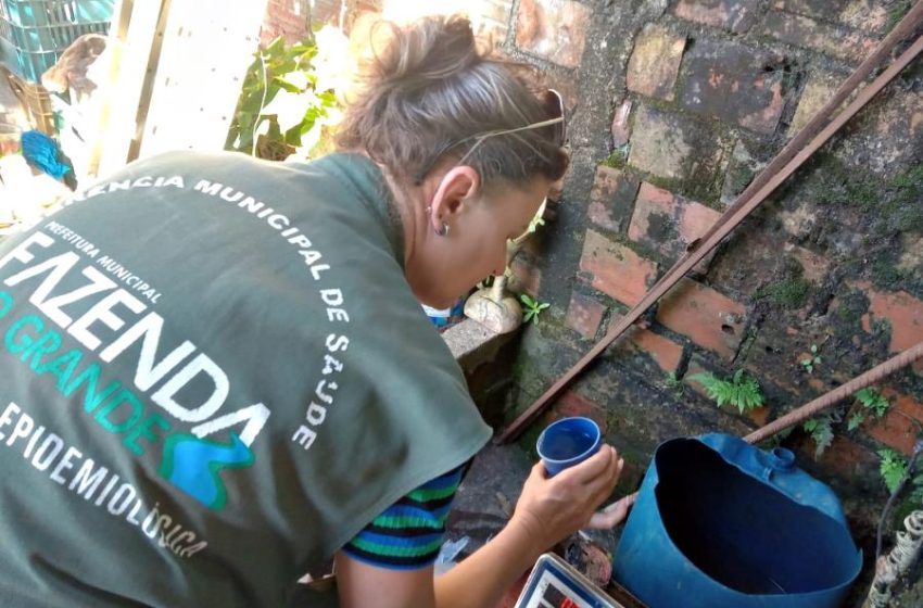  Fazenda Rio Grande tem 5 casos confirmados de dengue, aponta Secretaria Estadual de Saúde
