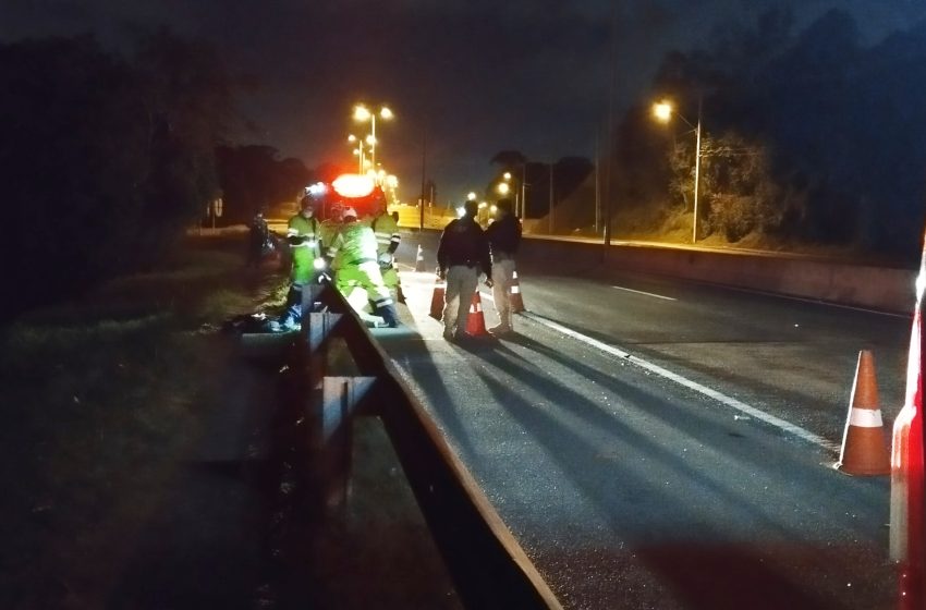  Motorista foge após atropelar e matar mulher na BR-116 em Fazenda Rio Grande