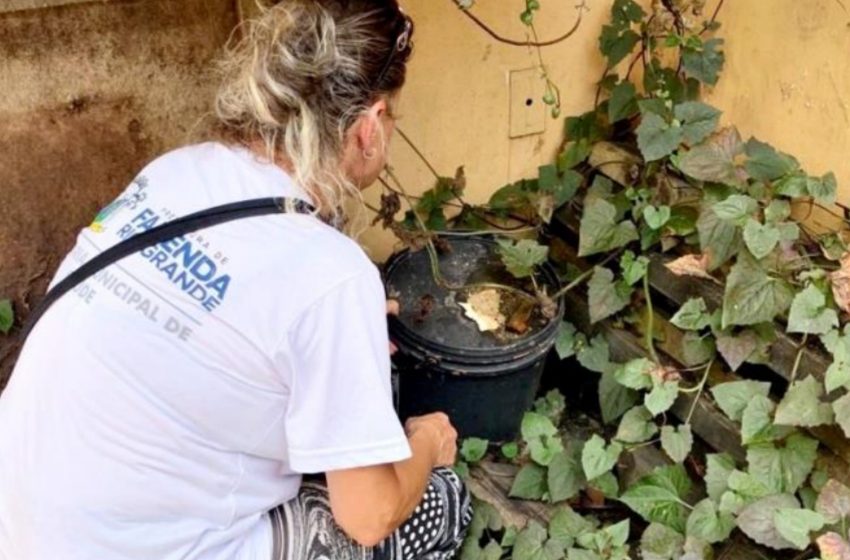  Fazenda Rio Grande tem 11 casos confirmados de dengue, diz secretaria de saúde